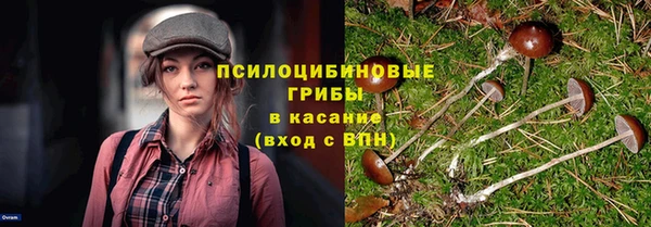 МДПВ Абаза
